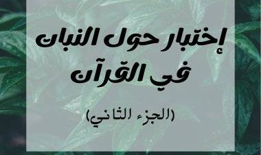 إختبار حول النبات في القرآن (الجزء الثانى)